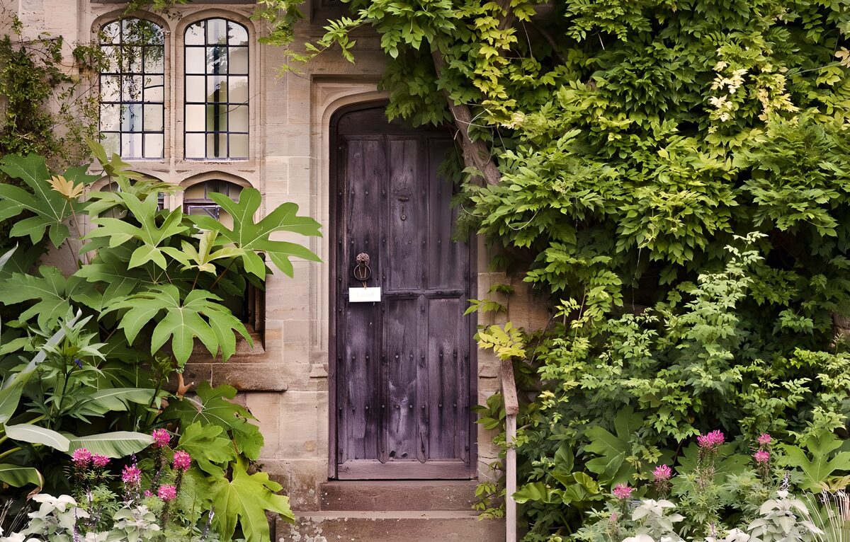 TPFR39849: Porte ancienne entourée de verdure