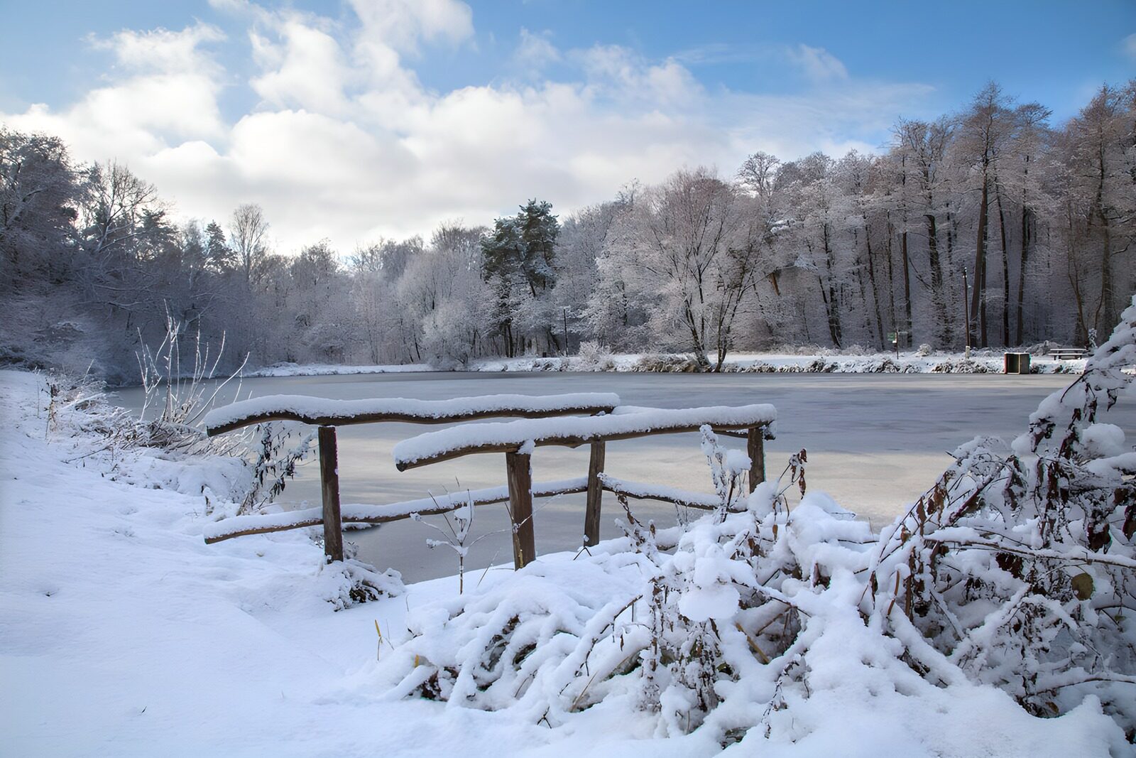 TPFR98715: Paysage d'hiver paisible