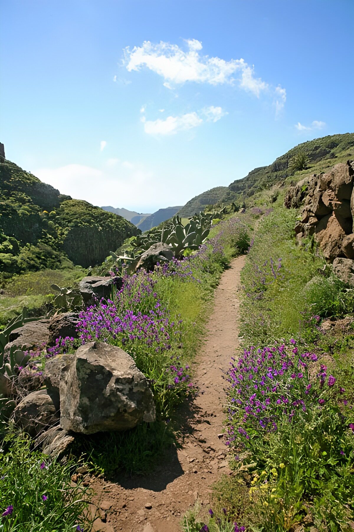 TPFR71428: La Gomera 35