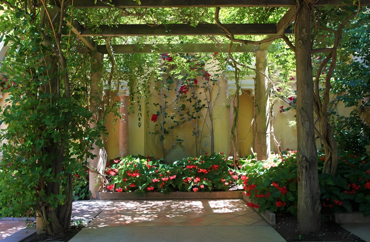 TPFR86101: Jardin secret sous un treillis verdoyant