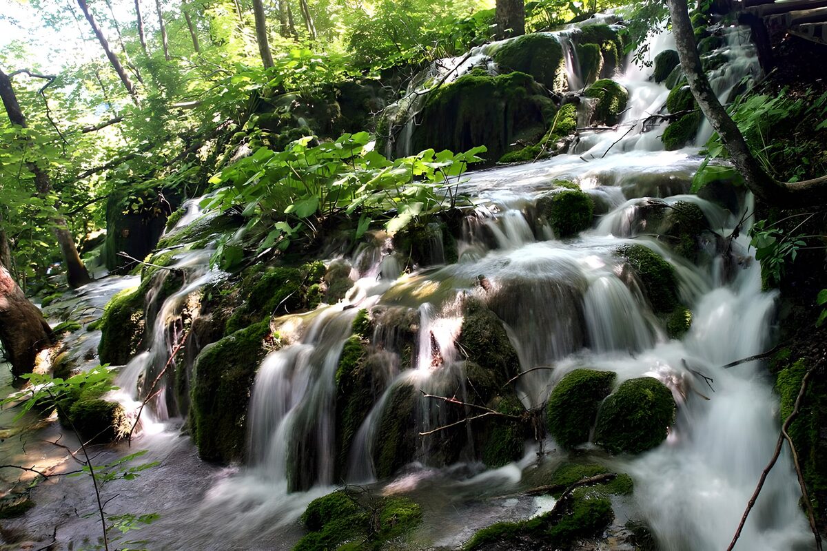 TPFR41593: Cascade paisible au cœur de la forêt