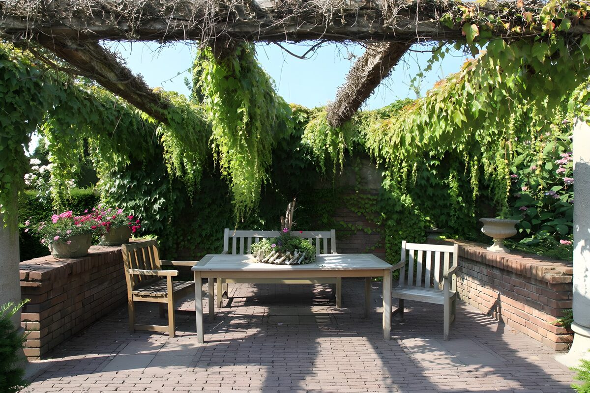TPFR81876: Jardin paisible sous un treillis verdoyant