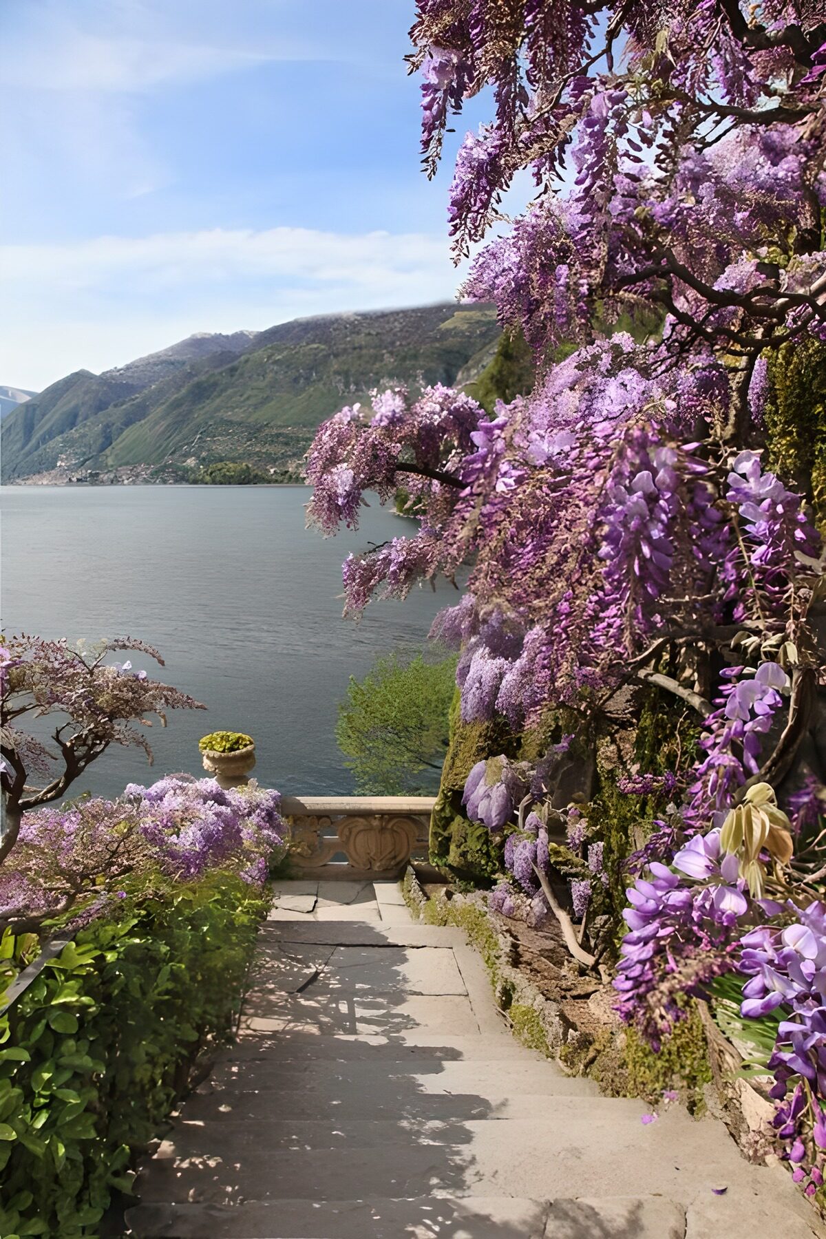 TPFR67963: Escaliers fleuris vers le lac