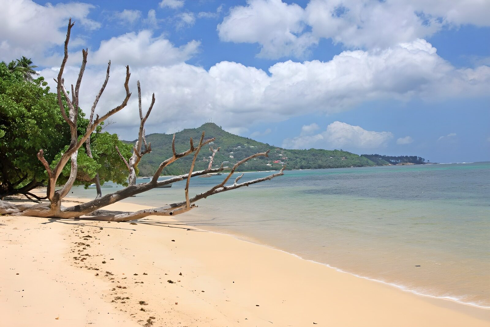 TPFR12471: Plage tranquille avec un ciel bleu