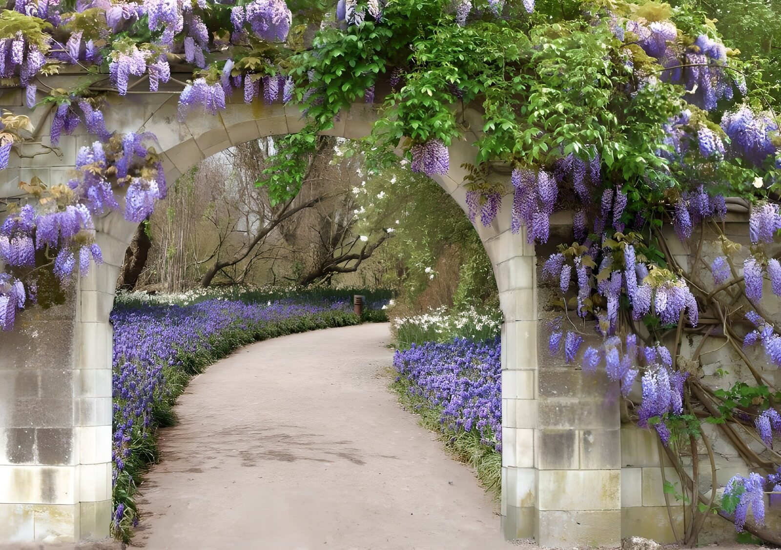 TPFR25764: Voie florale sous un arc de vignes