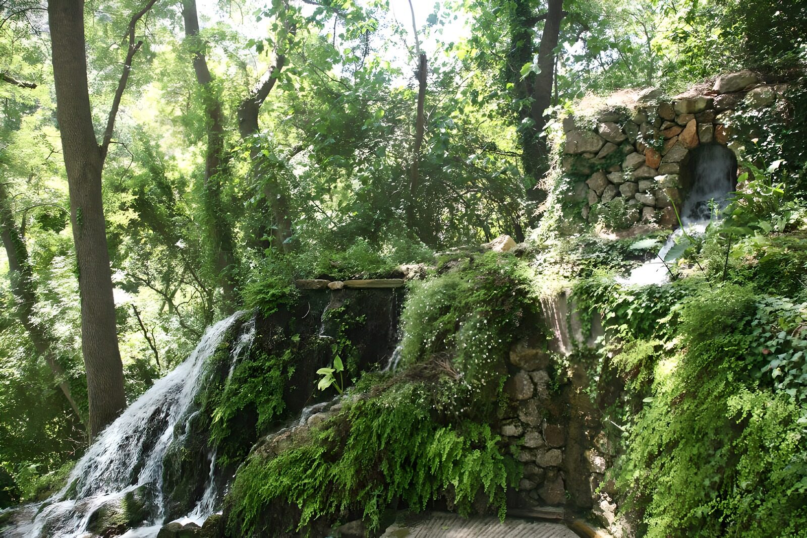 TPFR19053: Mur de pierre envahi par les plantes grimpantes et petite cascade