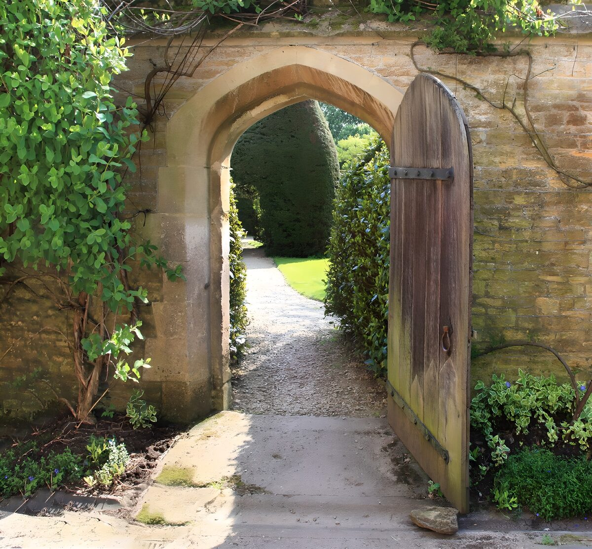 TPFR15966: La porte vers le jardin secret