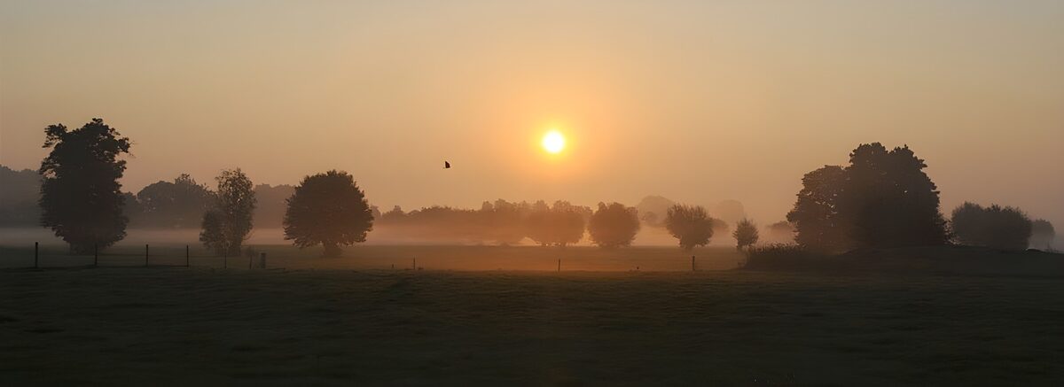 Lever de soleil sur la brume matinale