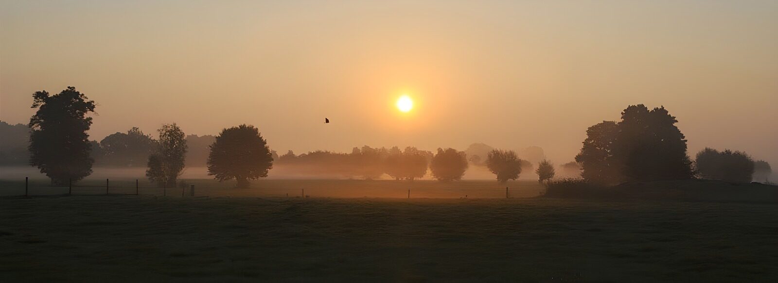 TPFR54256: Lever de soleil sur la brume matinale