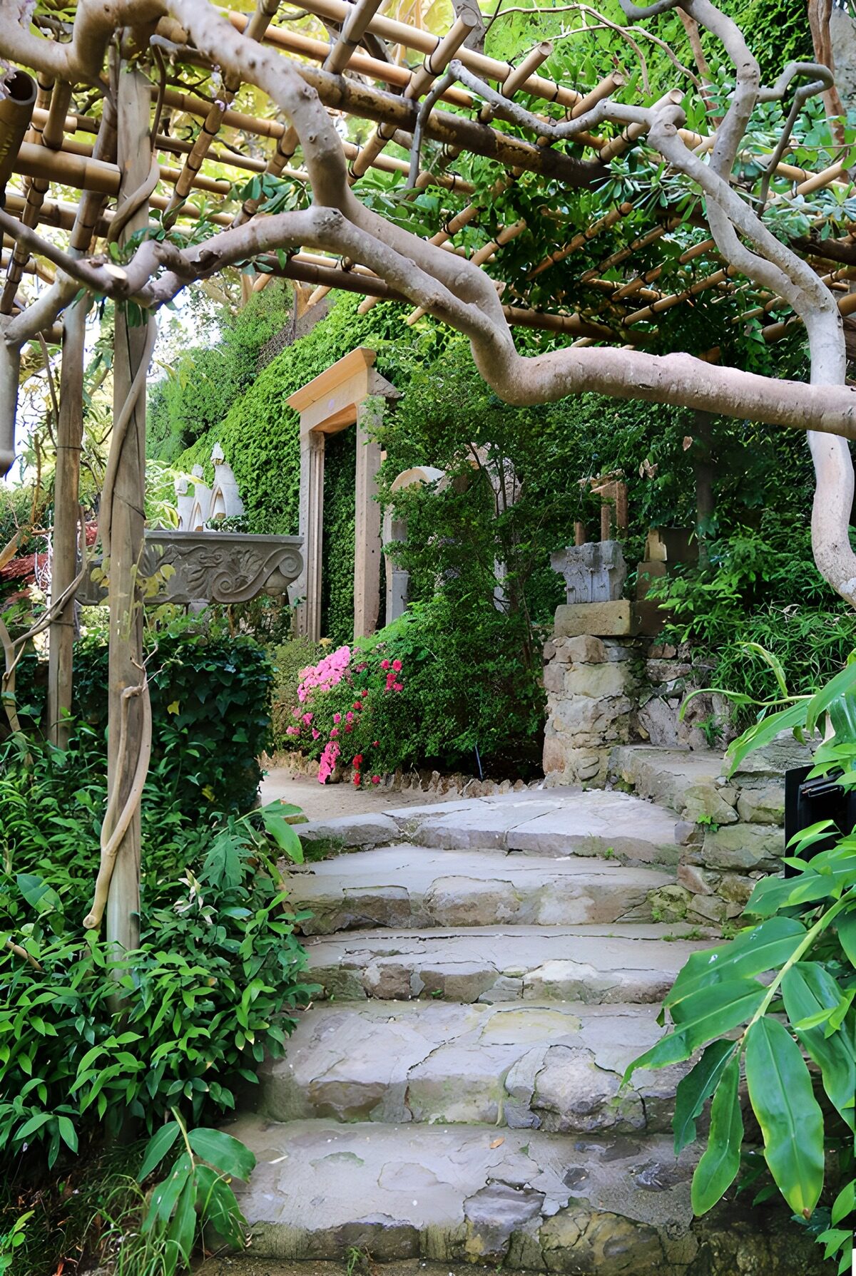 Un chemin dans un jardin luxuriant