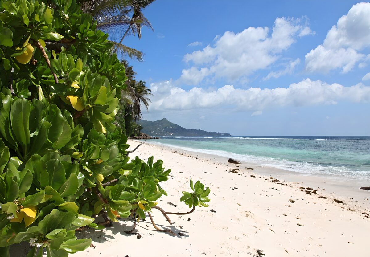 TPFR53743: Plage tranquille sous un ciel bleu