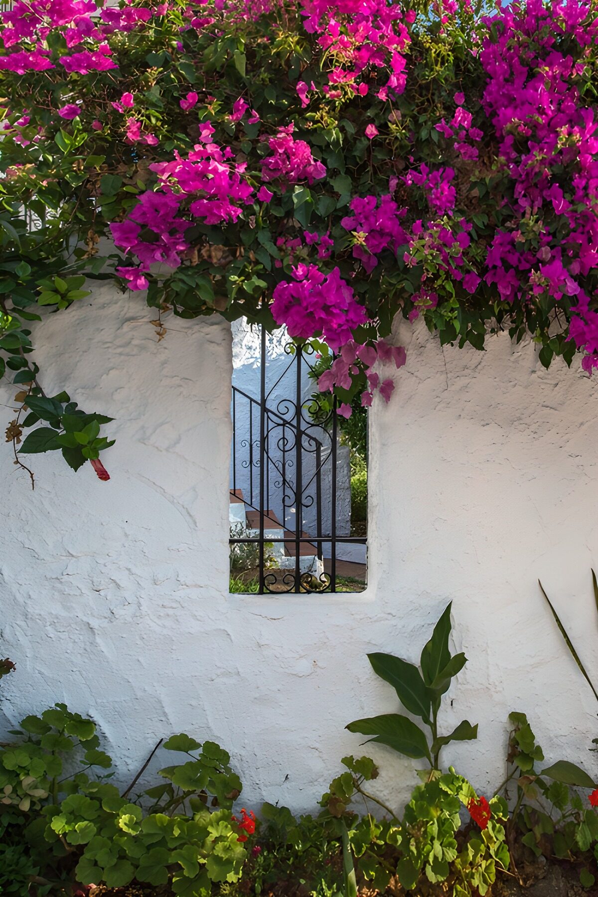 TPFR40659: Mur fleuri avec fenêtre.