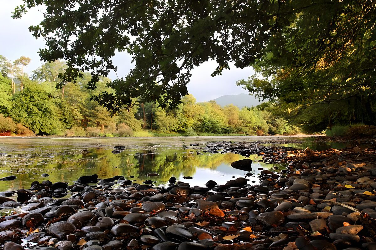 TPFR62498: Rivière paisible entourée de verdure