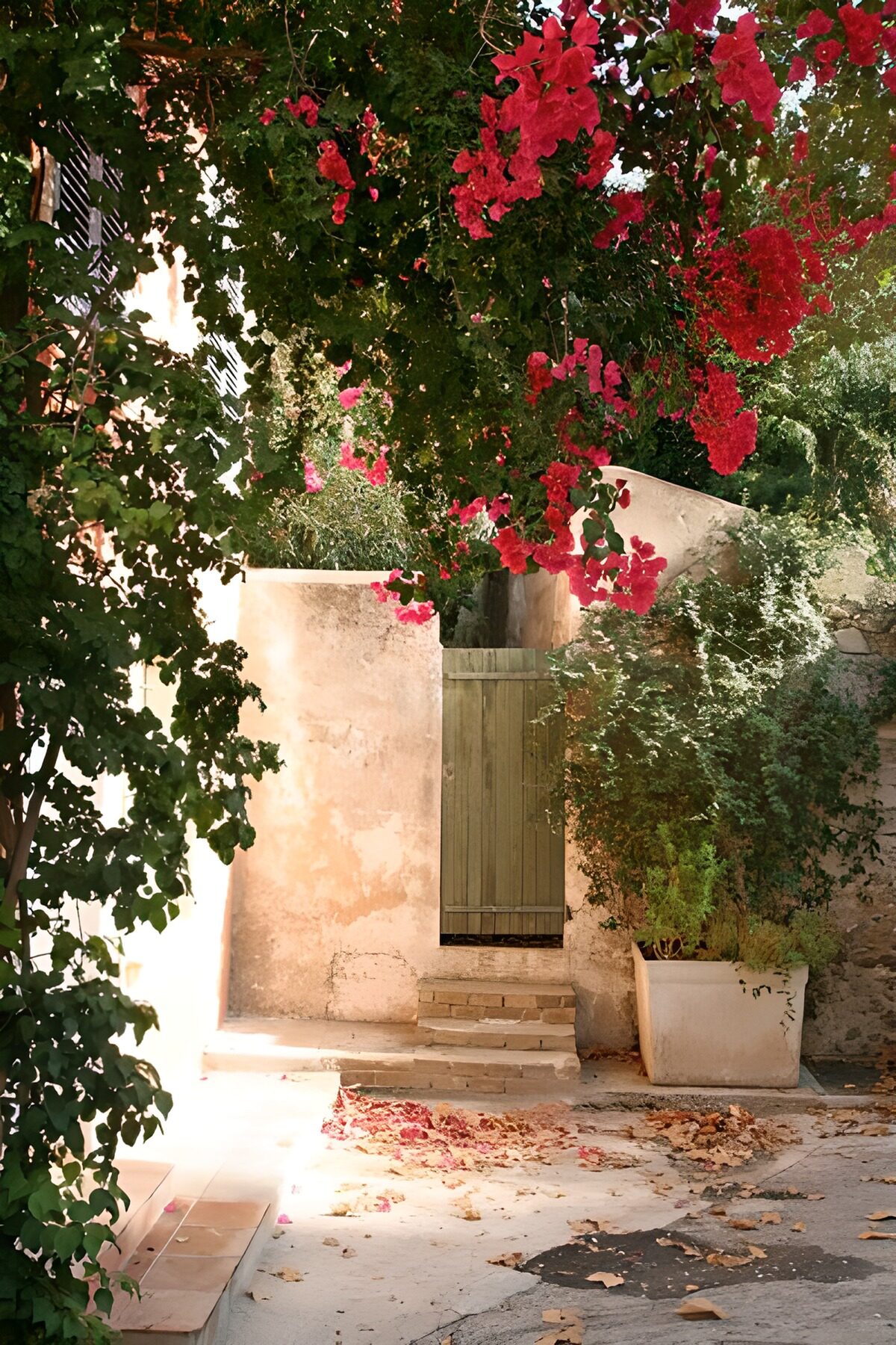 TPFR62119: Porte en bois avec mur et fleurs 2