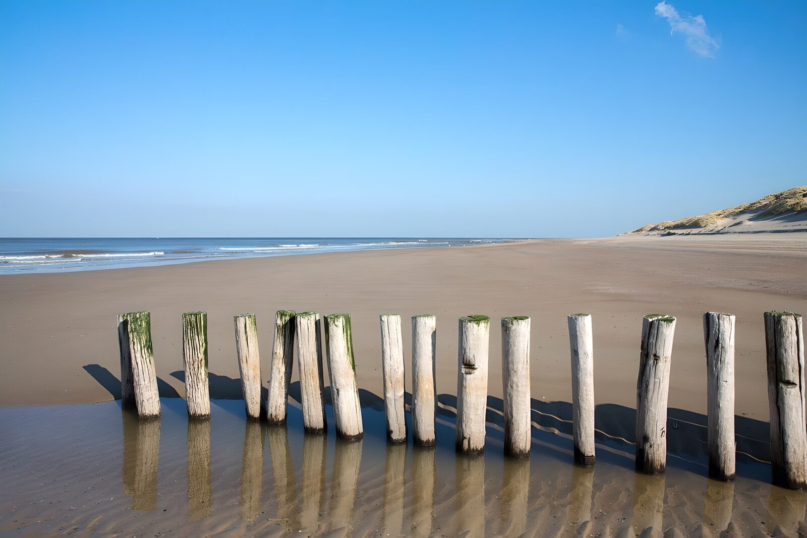 TPFR20598: Plages paisibles et poteaux en bois