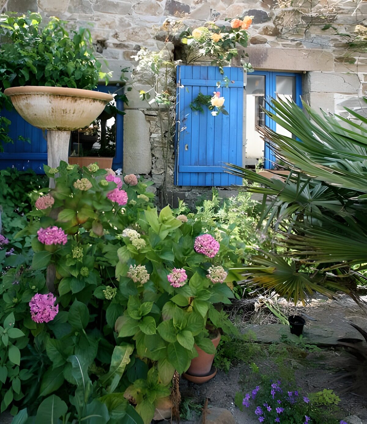 Vieille maison française aux volets bleus et diverses plantes et fleurs version 2