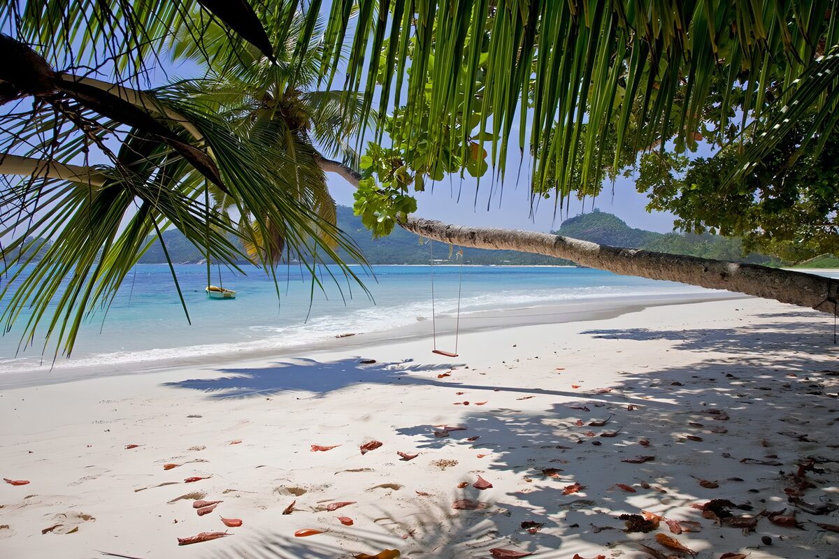 TPFR55078: Plage tranquille sous les palmiers