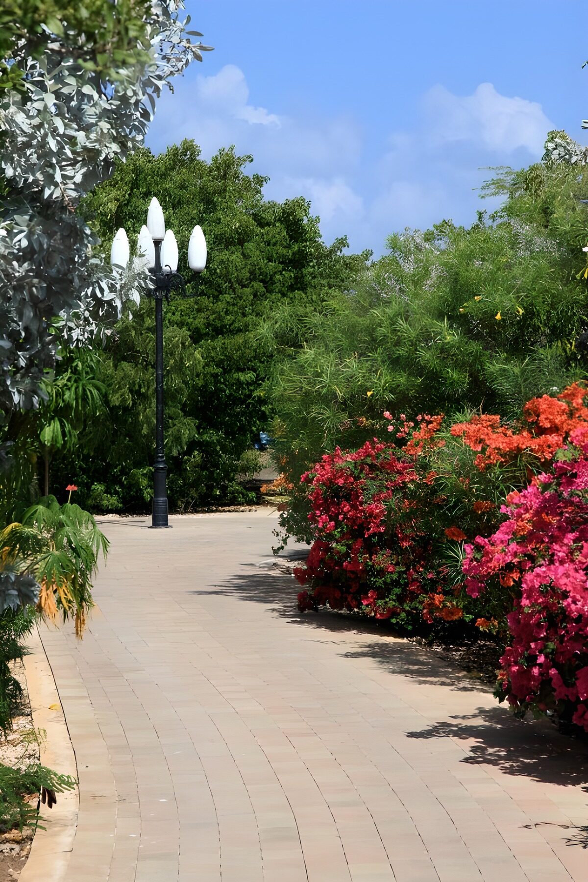 Promenade florale sous un ciel bleu