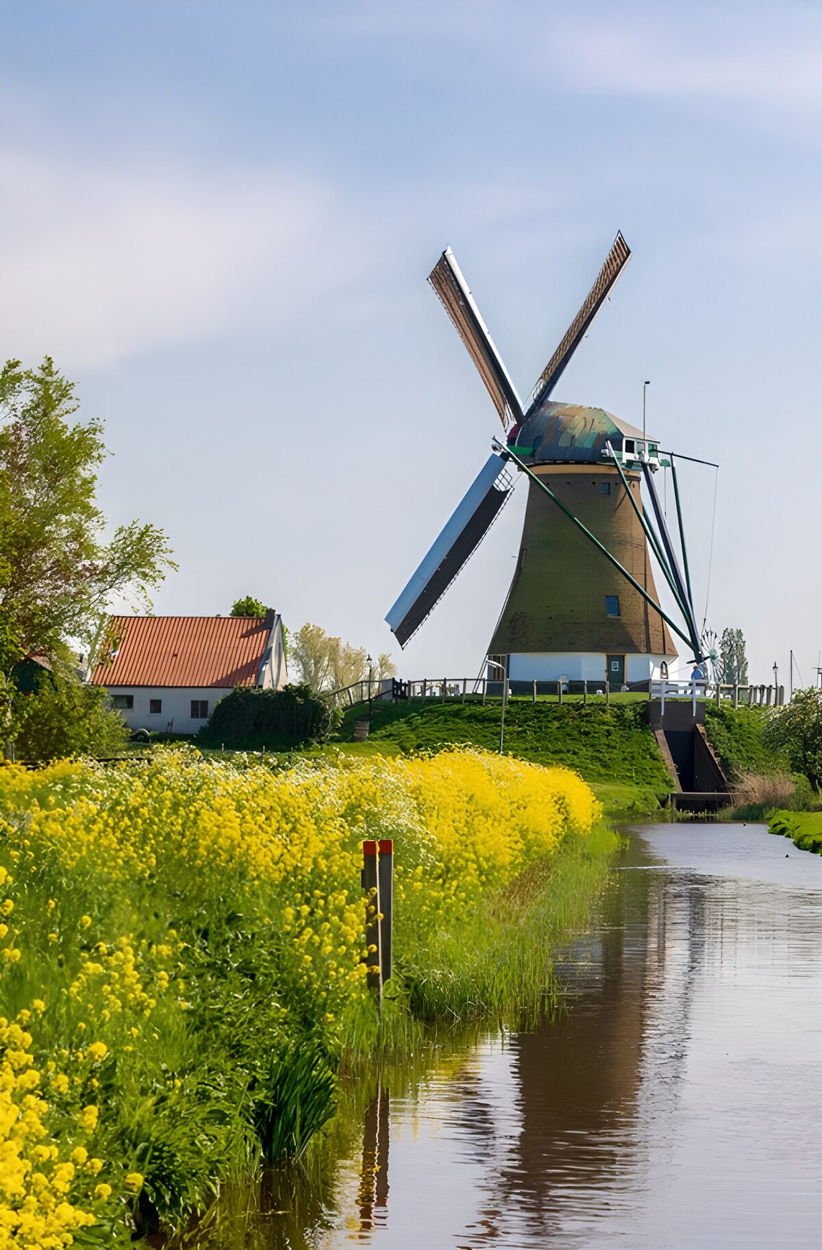 Moulin et fleurs au bord de l'eau