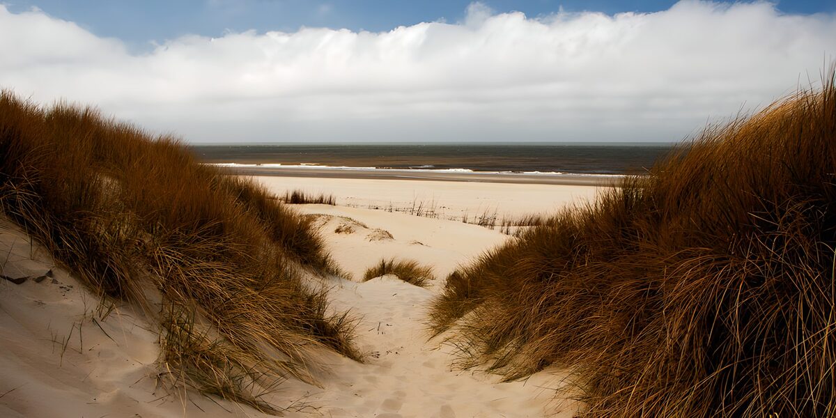TPFR73162: Plage tranquille aux dunes de sable