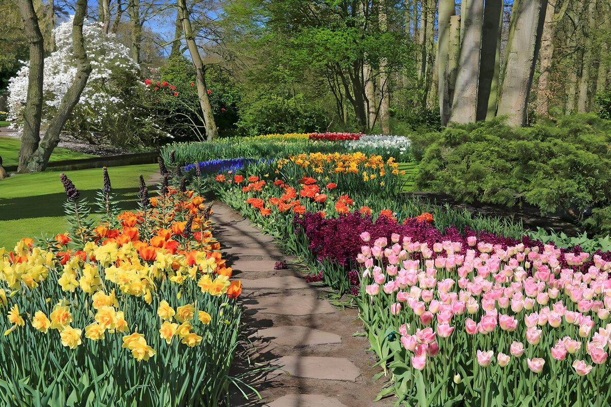 Jardin floral magnifique au printemps