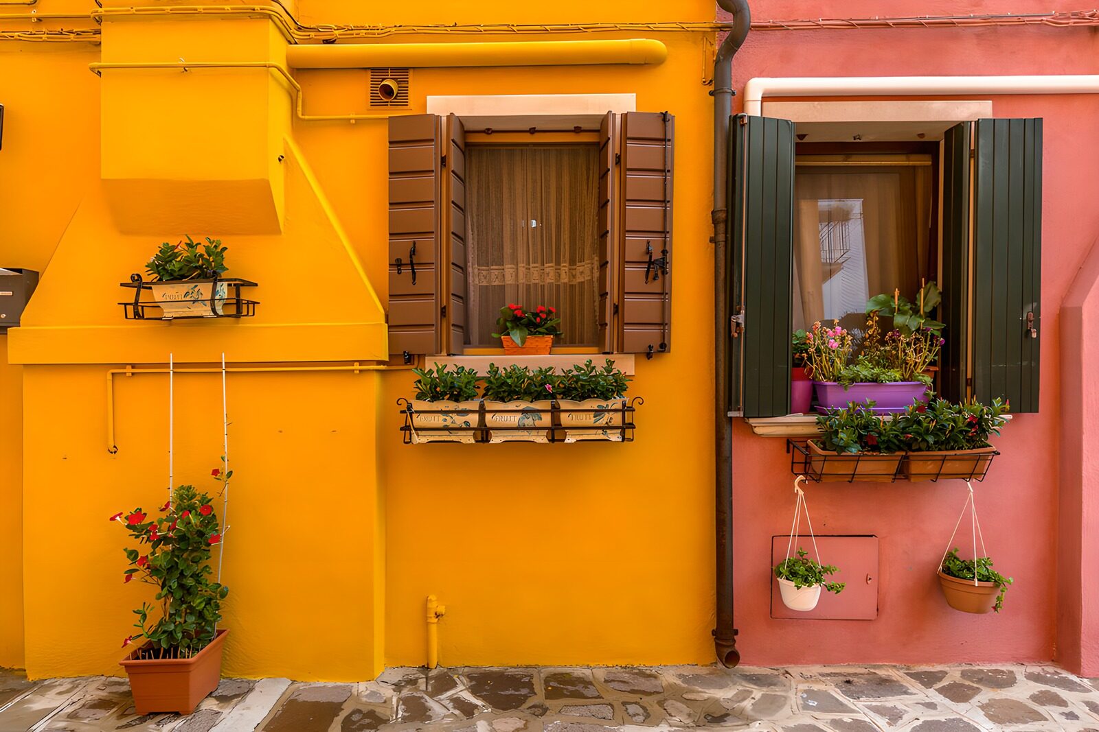 TPFR41913: Fenêtres colorées à Burano