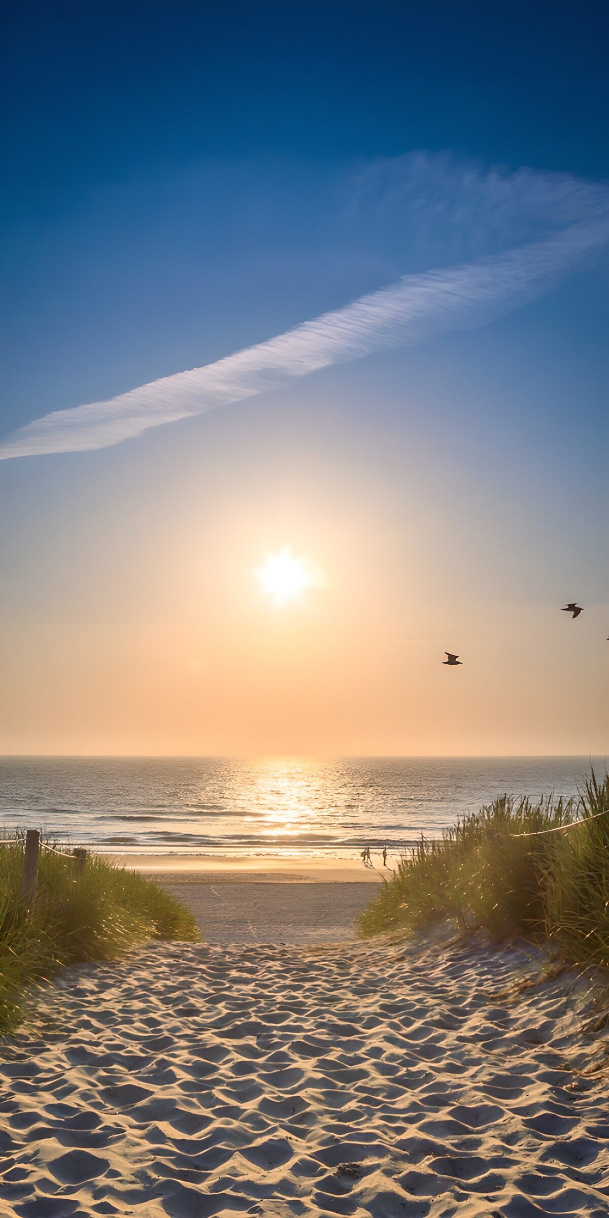 TPFR95912: Chemin vers le coucher de soleil
