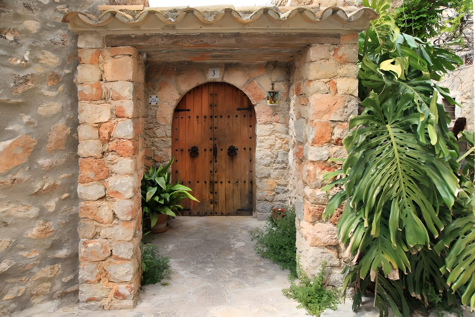TPFR24905: Porte en pierres anciennes et verdure
