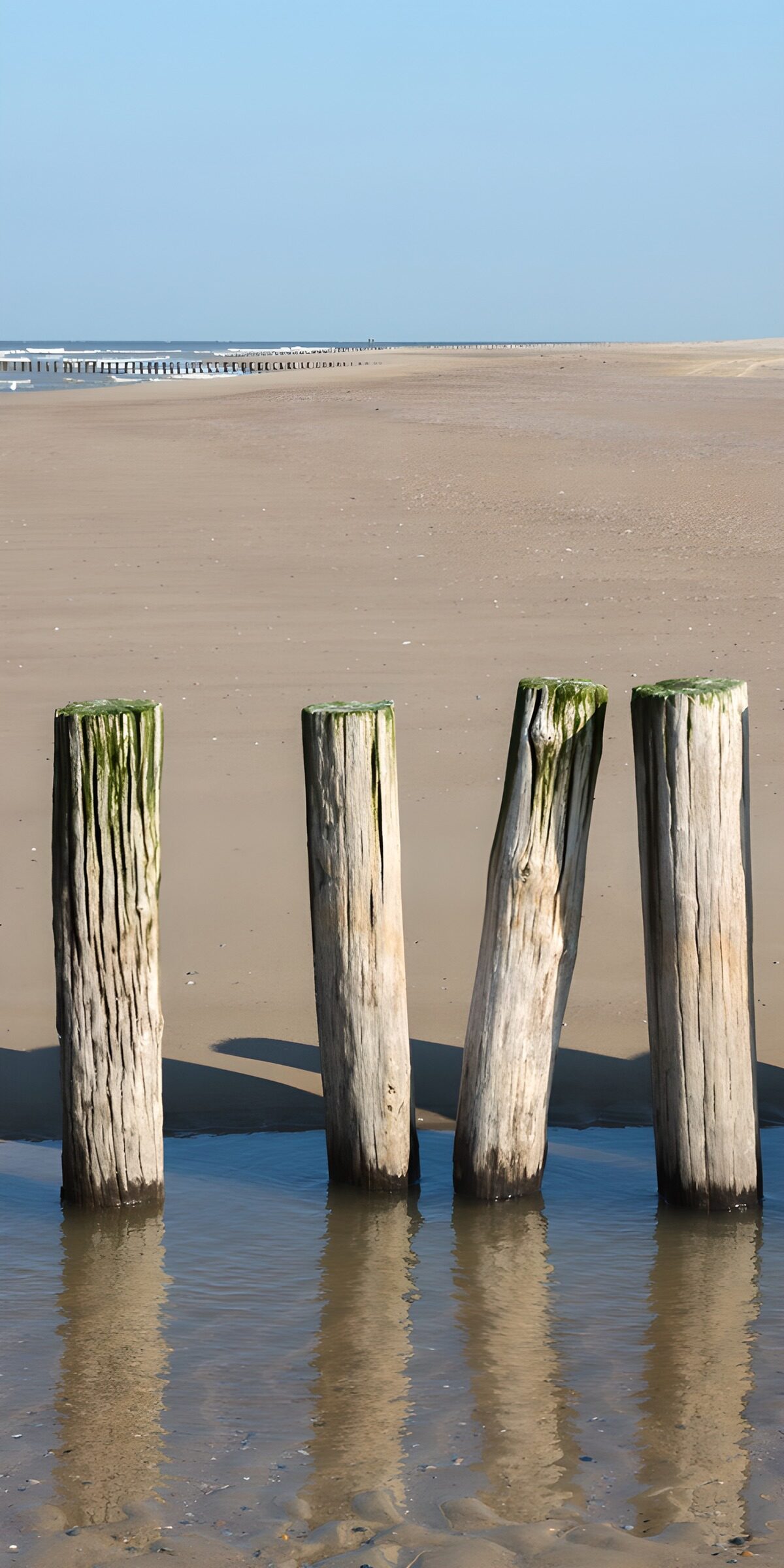 TPFR78828: Poteaux de plage au bord de l'eau