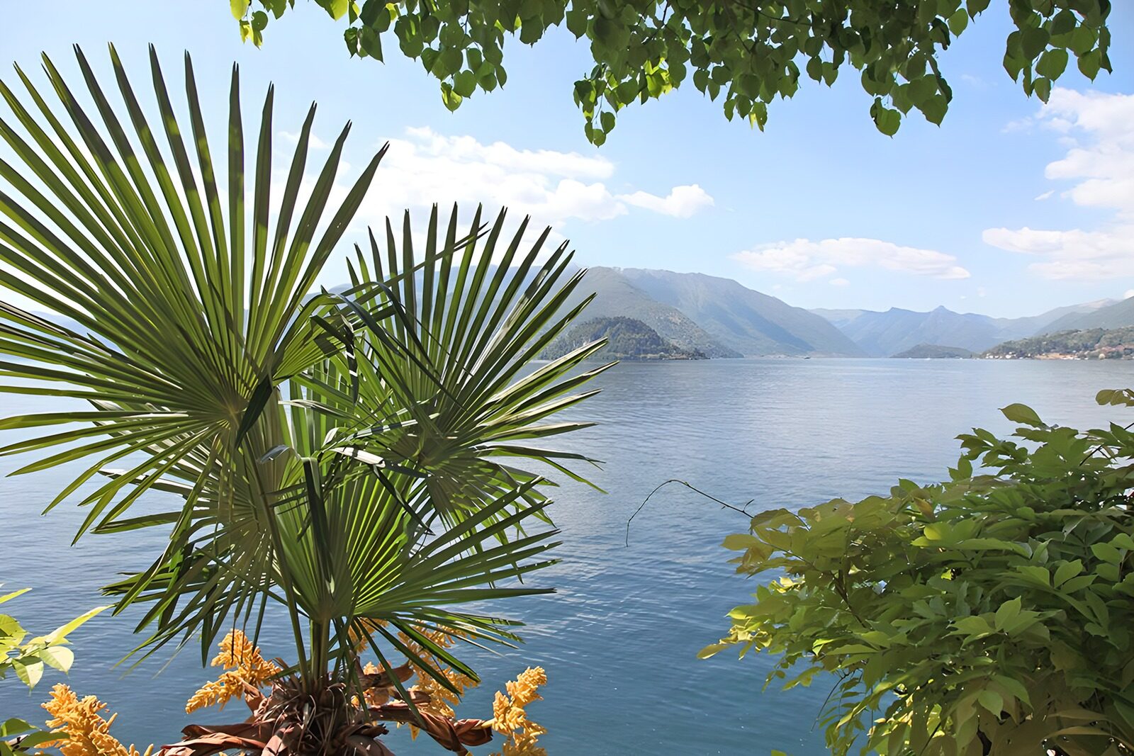 TPFR48564: Vues paisibles sur le lac