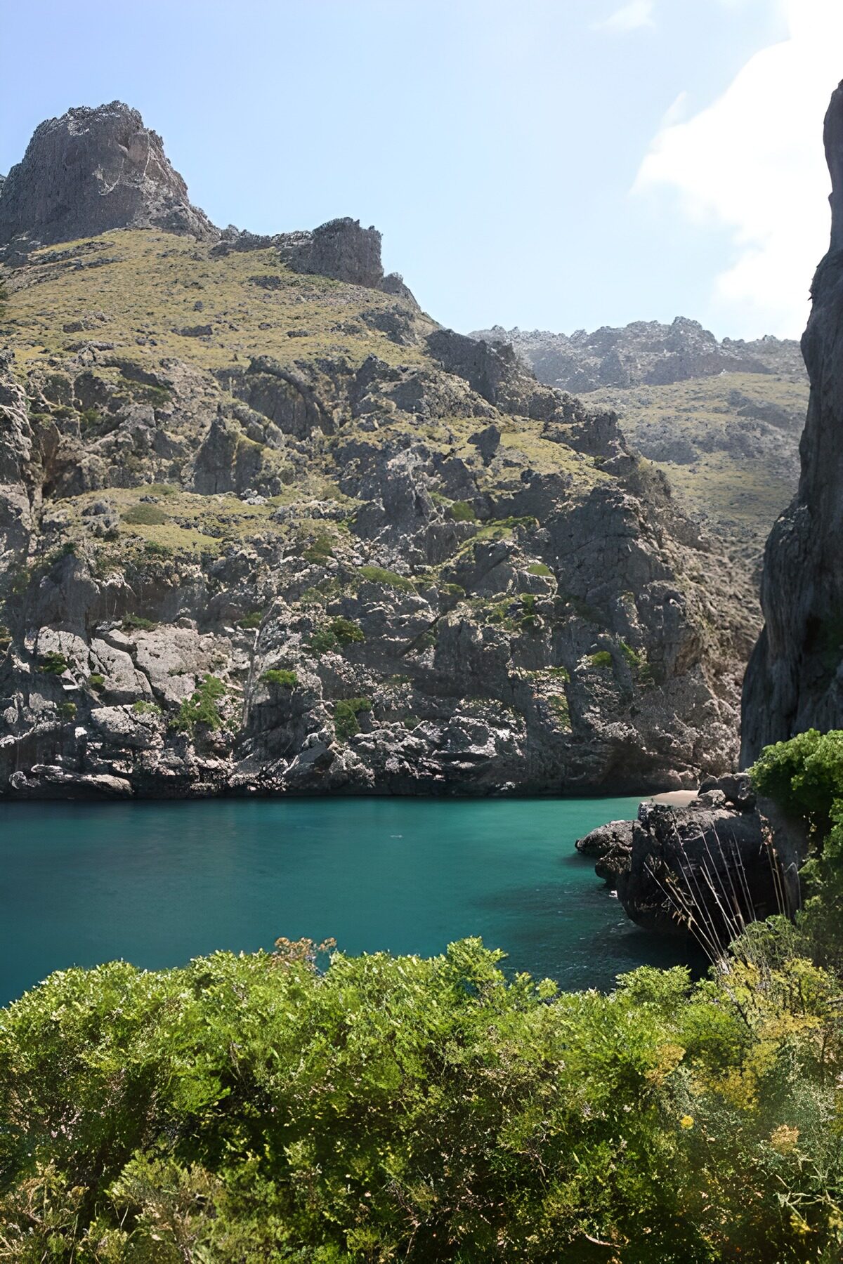 TPFR95744: Montagne et forêt en bordure de rivière 1