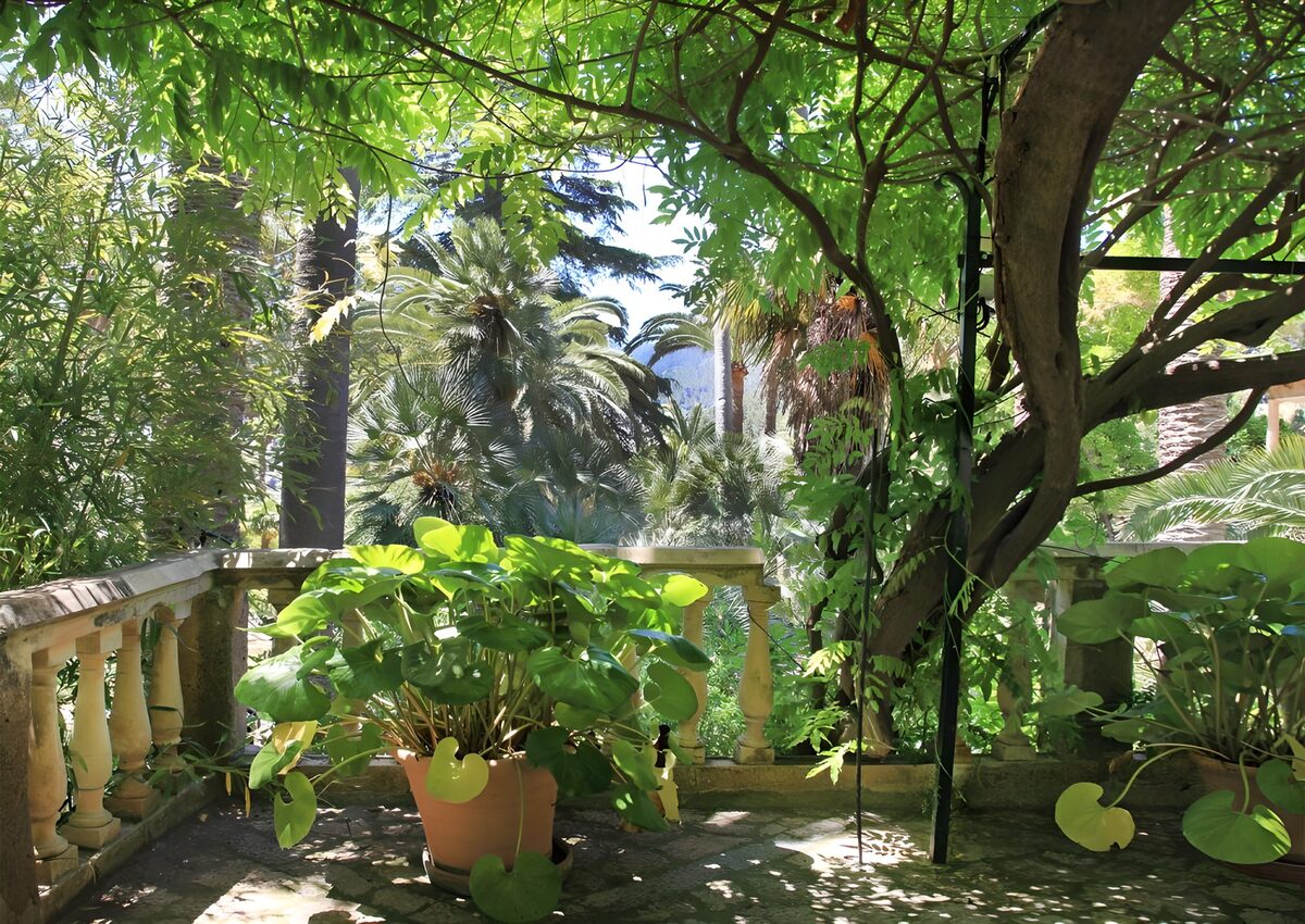 TPFR30871: Jardin luxuriant et paisible