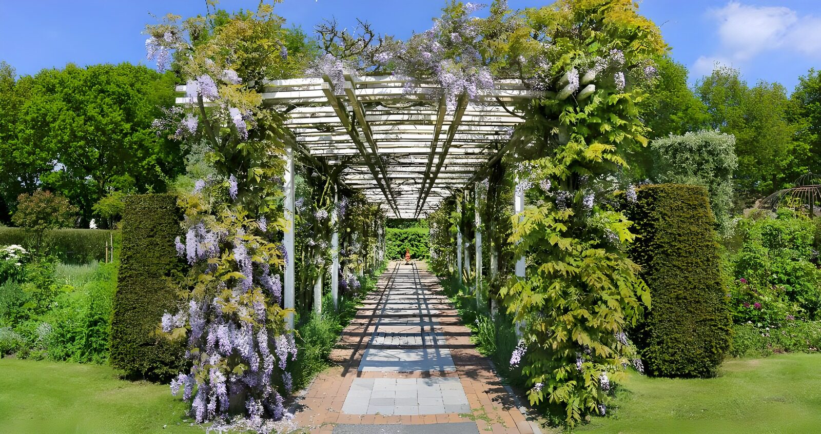 TPFR51722: Allée florale sous la pergola