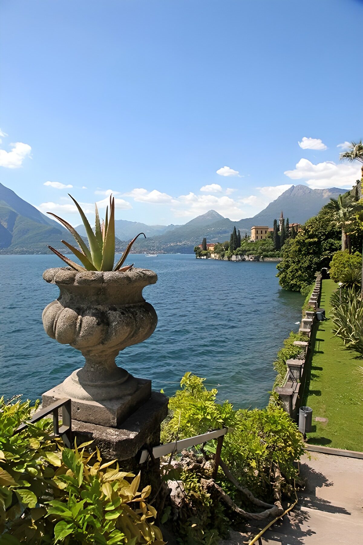 TPFR10431: Bord du lac avec plante en pot