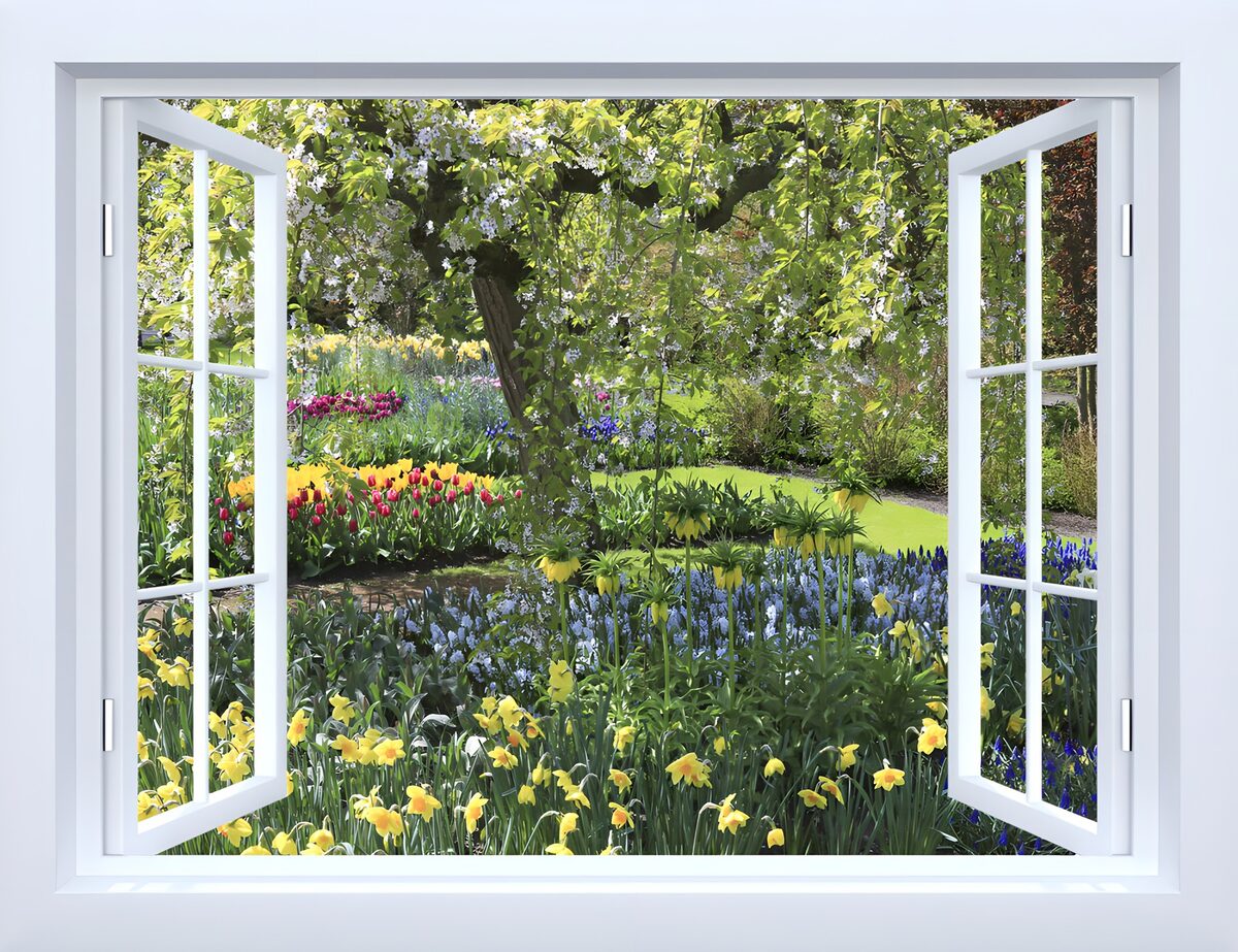 Vue florale à travers la fenêtre