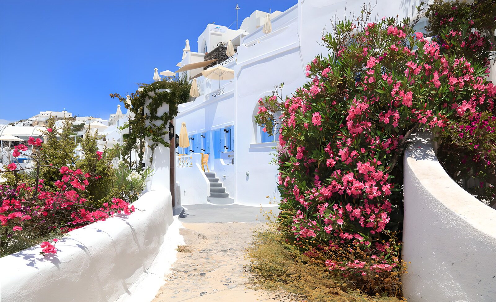 TPFR54410: Rue en fleurs en Santorin