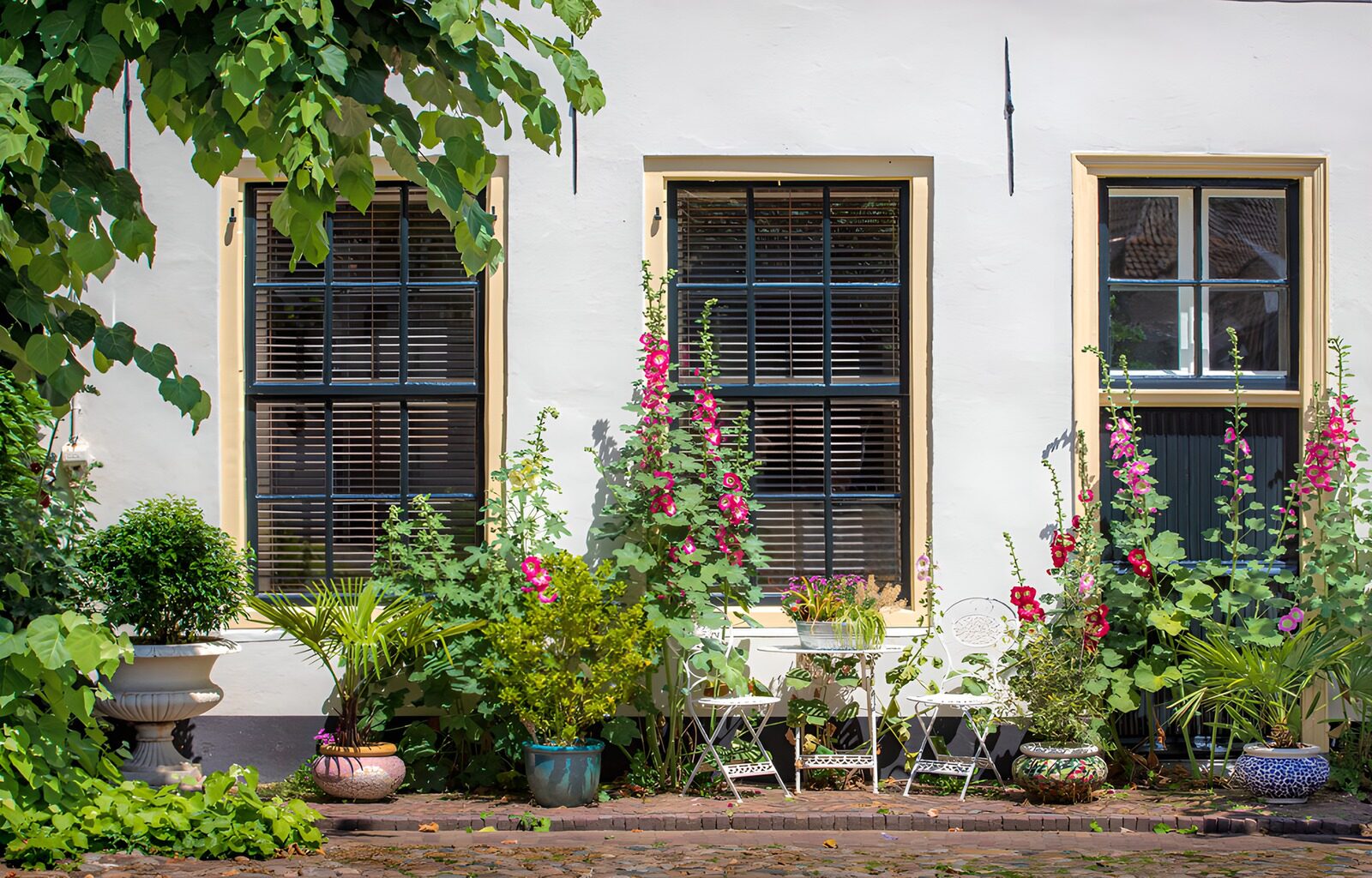 TPFR25218: Jardin chaleureux devant les fenêtres