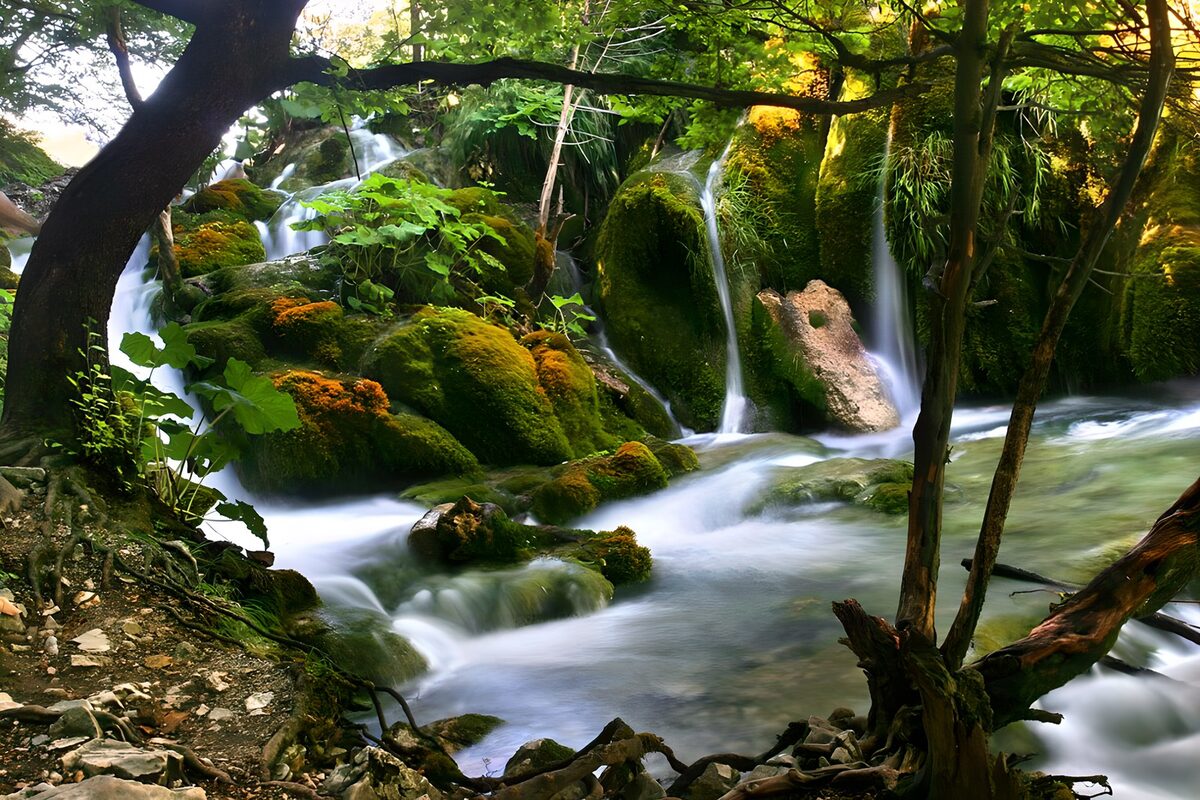 TPFR67060: Cascade paisible dans la nature