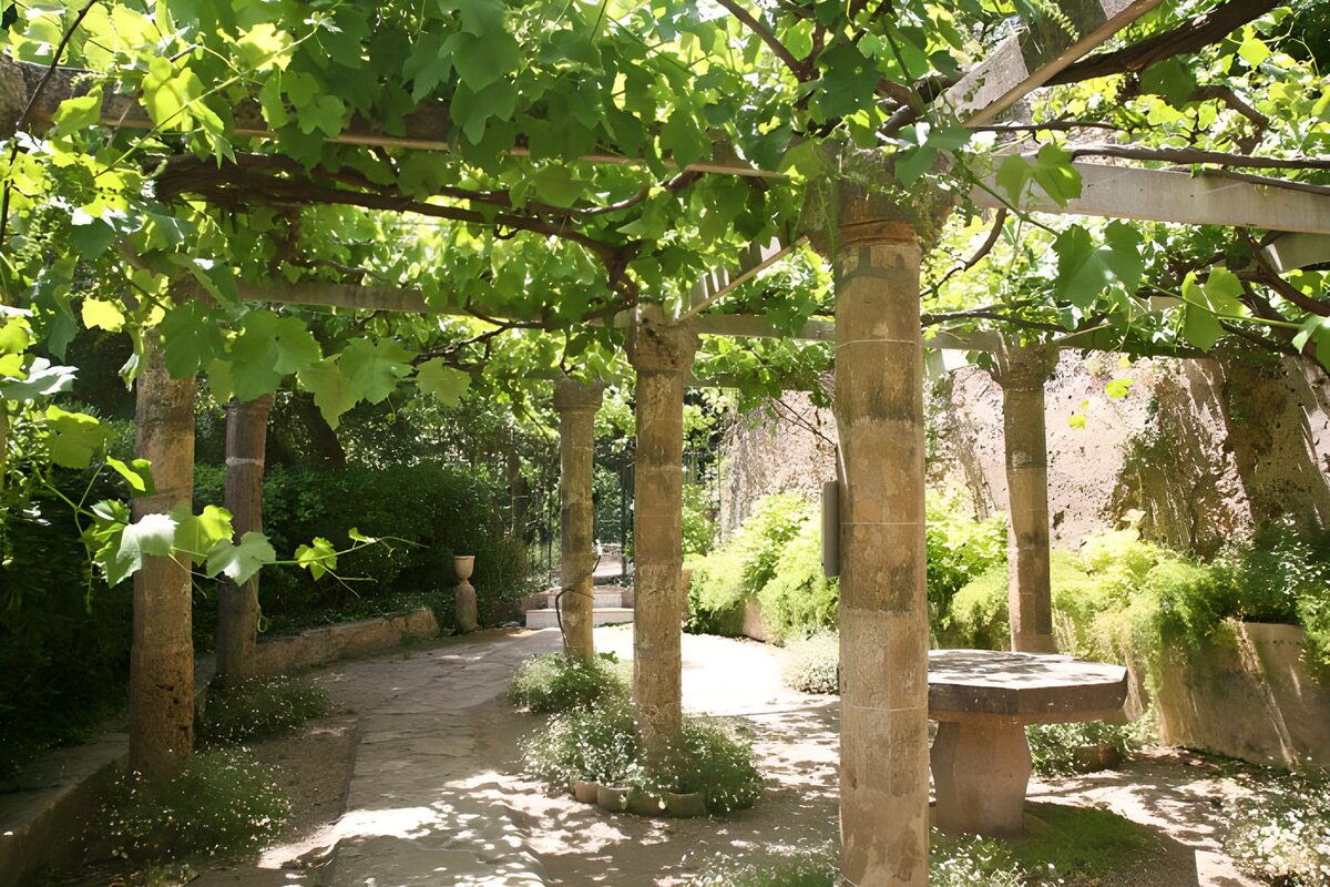 Vieille terrasse à piliers couverte de vignes version 1