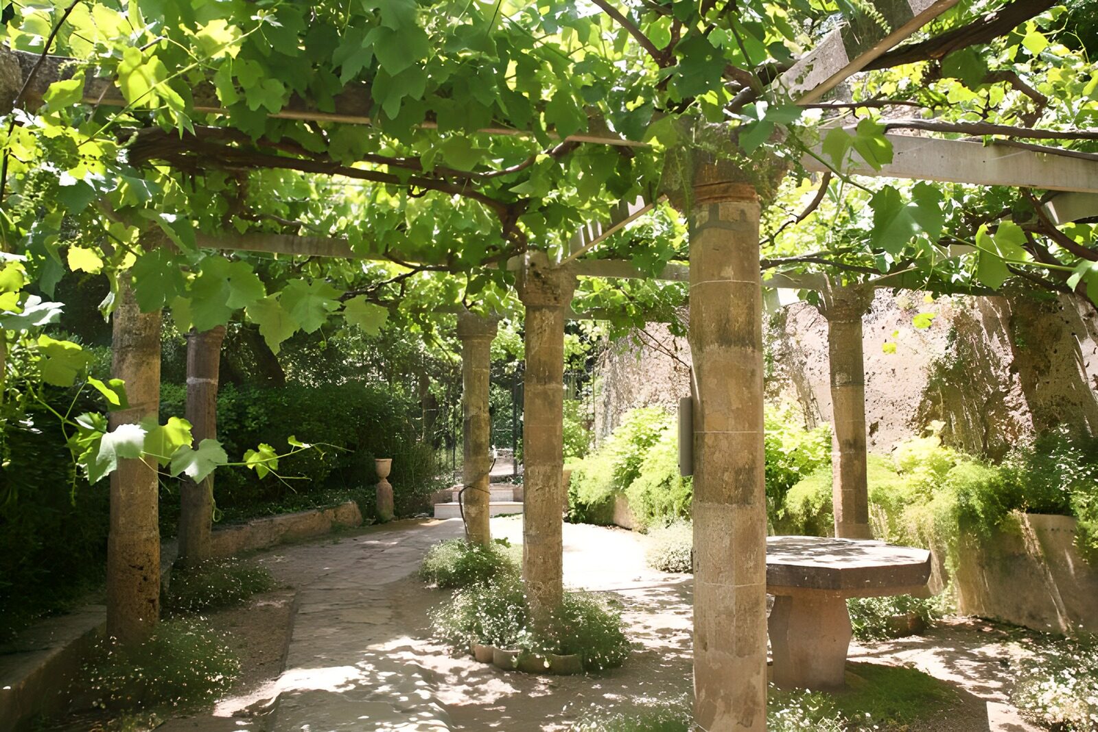 TPFR76591: Vieille terrasse à piliers couverte de vignes version 1