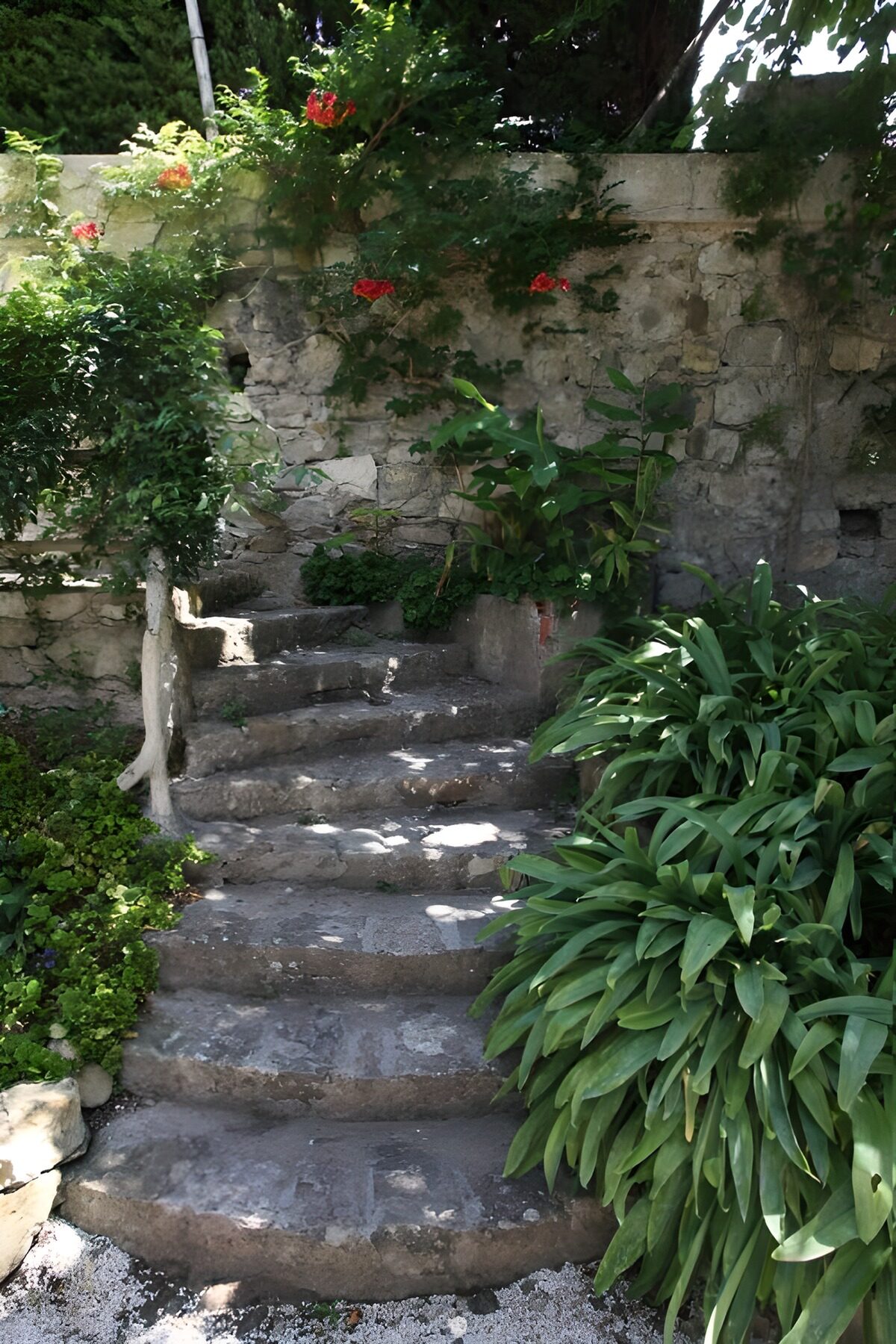 TPFR65359: Escaliers de pierre au jardin