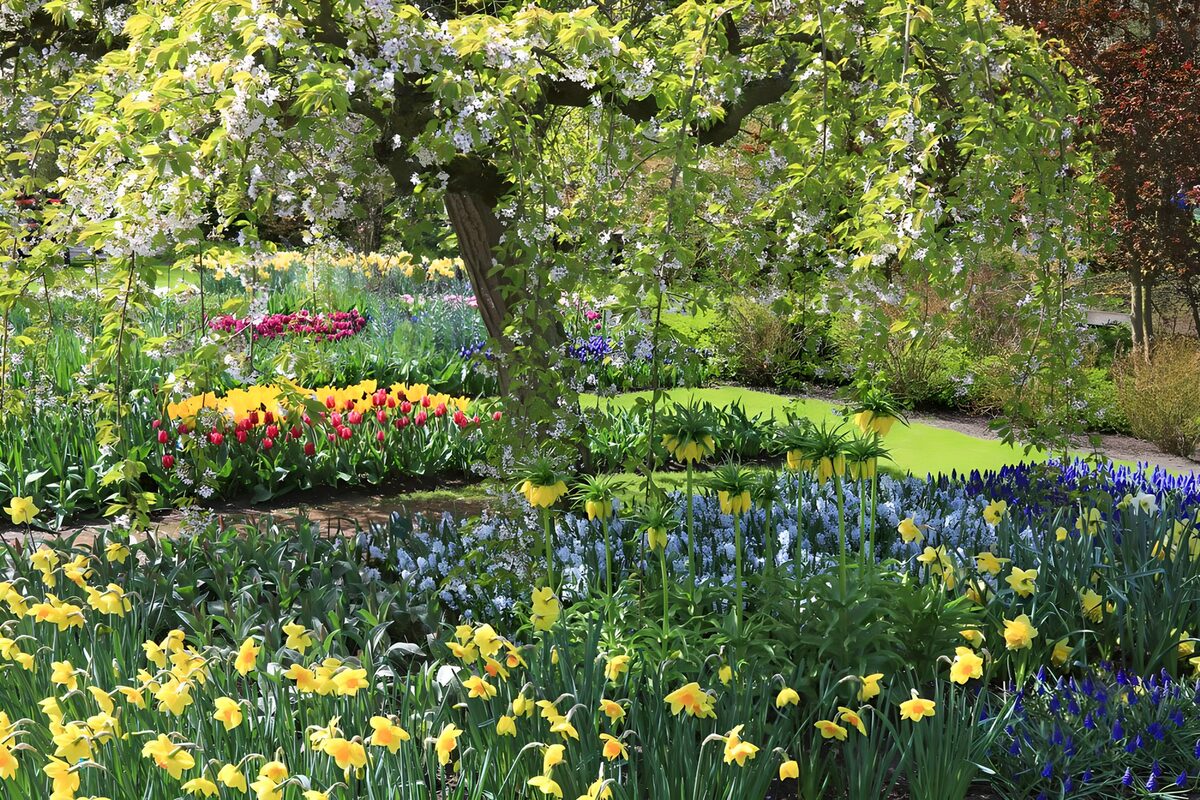 Jardin printanier en fleurs