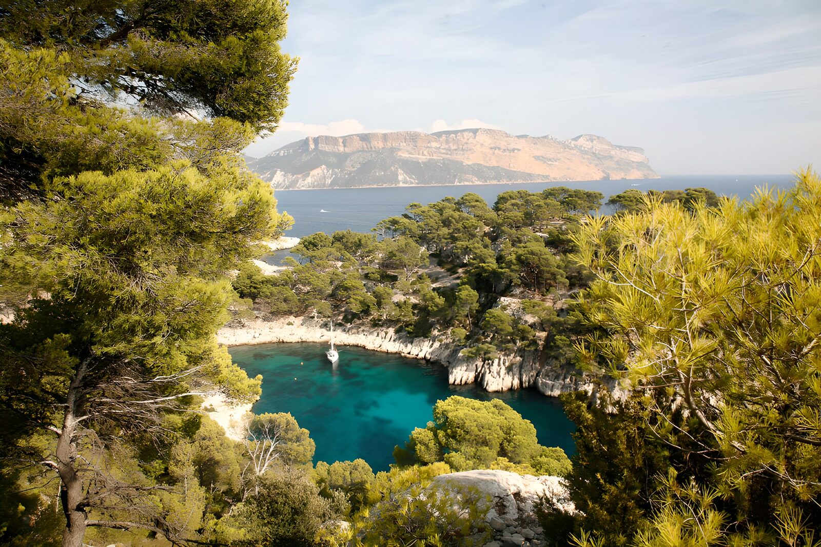 TPFR15791: La beauté cachée des calanques