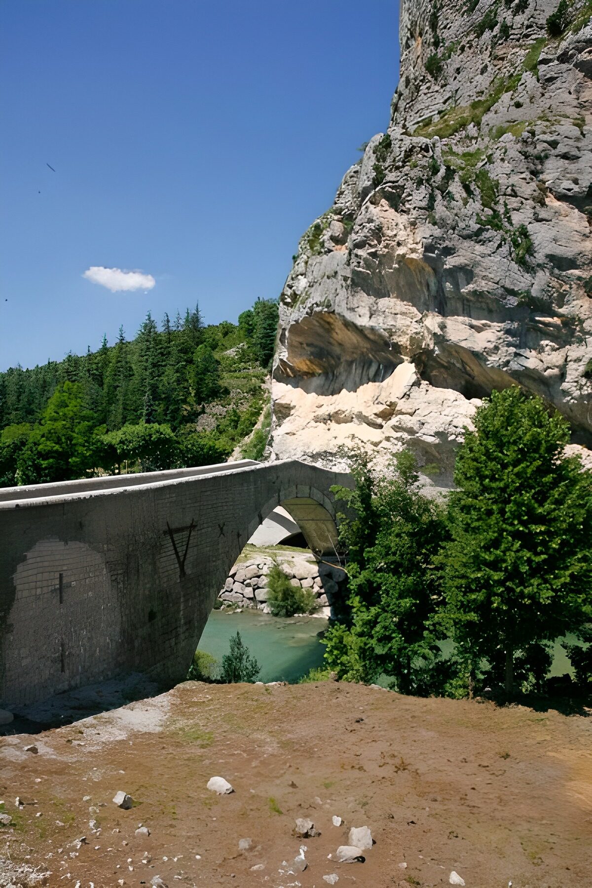 TPFR54193: Pont enjambant une rivière avec des conifères en arrière-plan