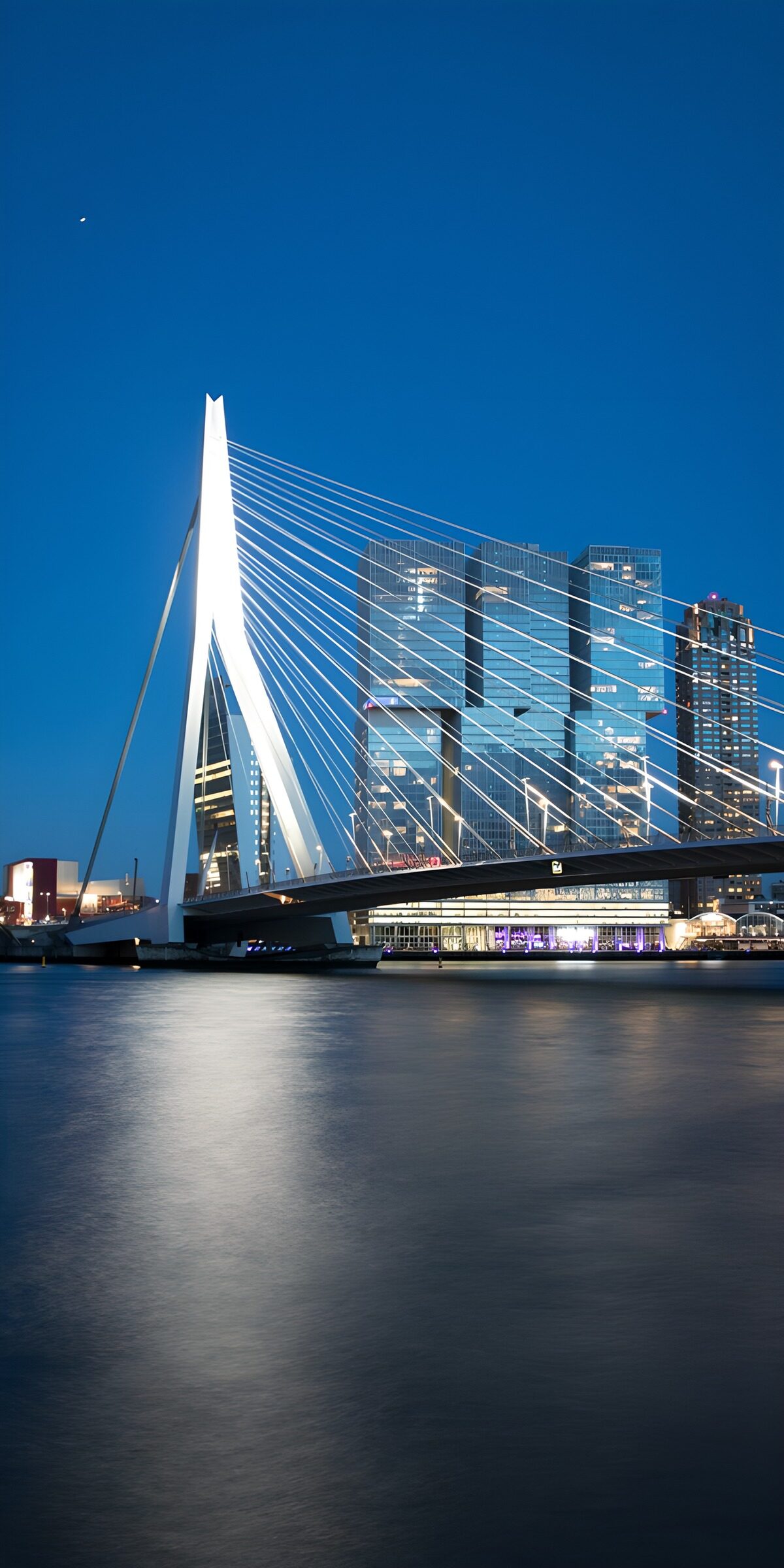 TPFR65478: Pont moderne de Rotterdam au crépuscule
