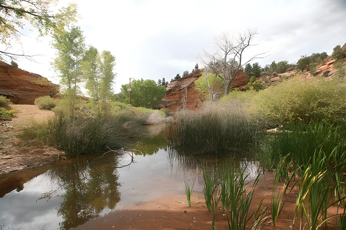 Pièce d'eau dans un canyon entourée d'arbres et de plantes