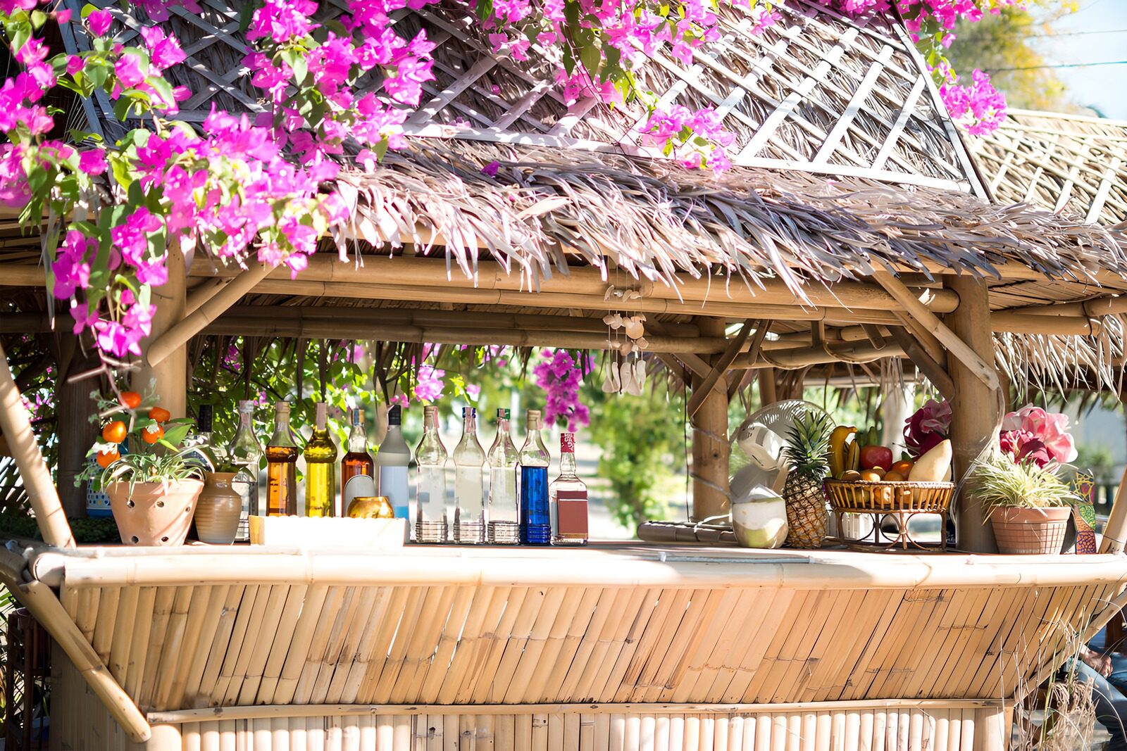 TPFR63126: Bar tropical ensoleillé
