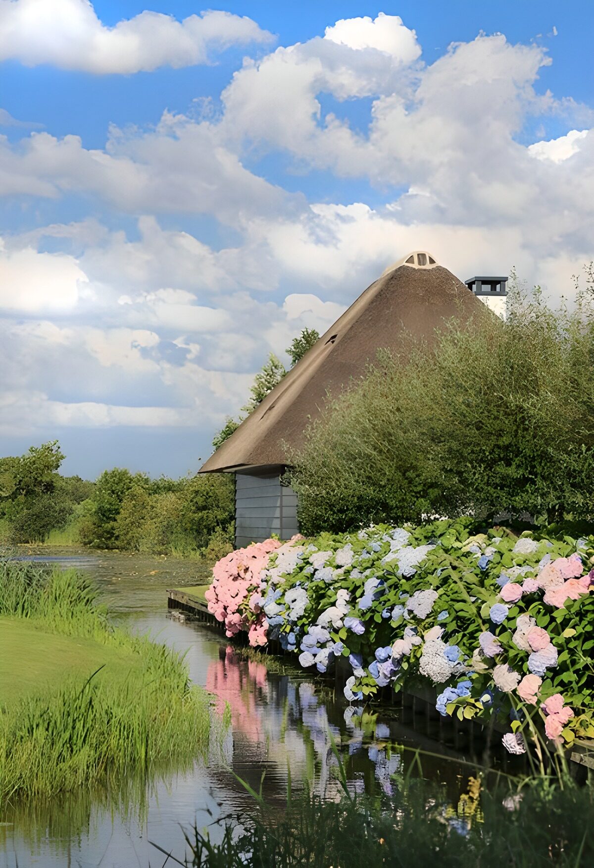 TPFR57883: Maison au bord de l'eau et hortensias