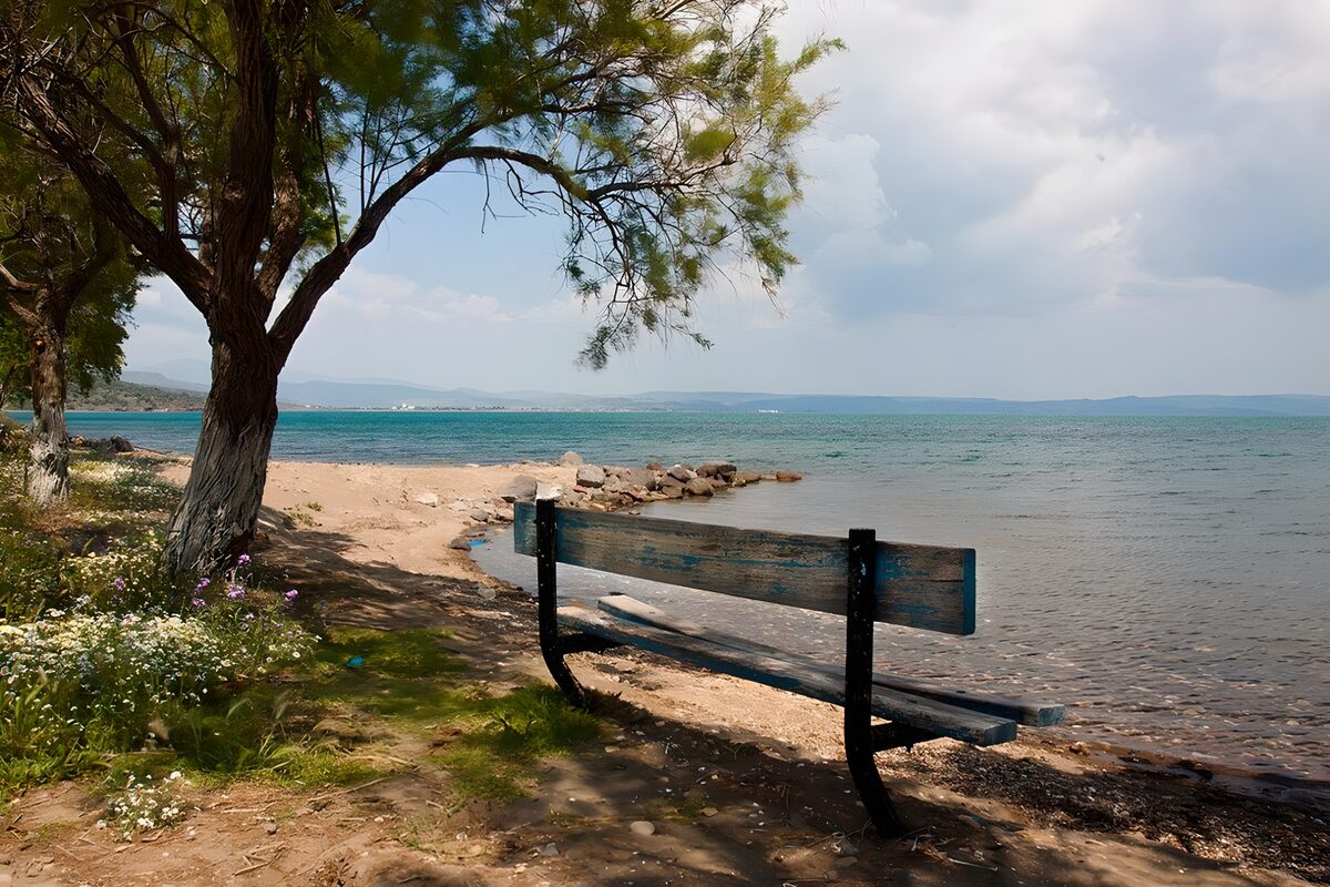 TPFR71304: Banc au bord de l'eau