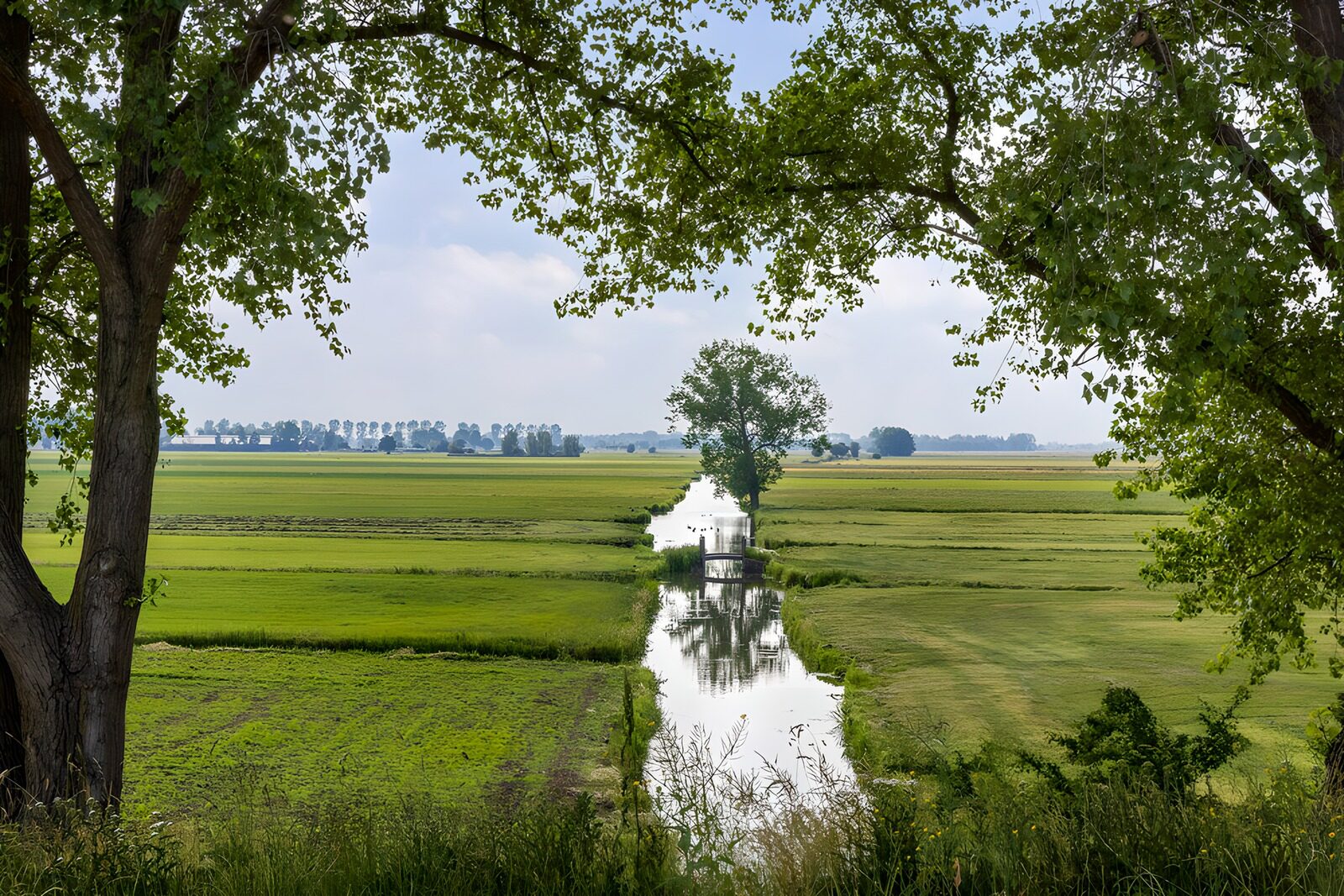 TPFR80800: Paysage paisible le long de la rivière